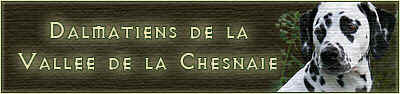 chesnaie-banner2.jpg (31156 Byte)